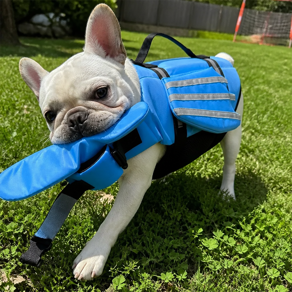Tank