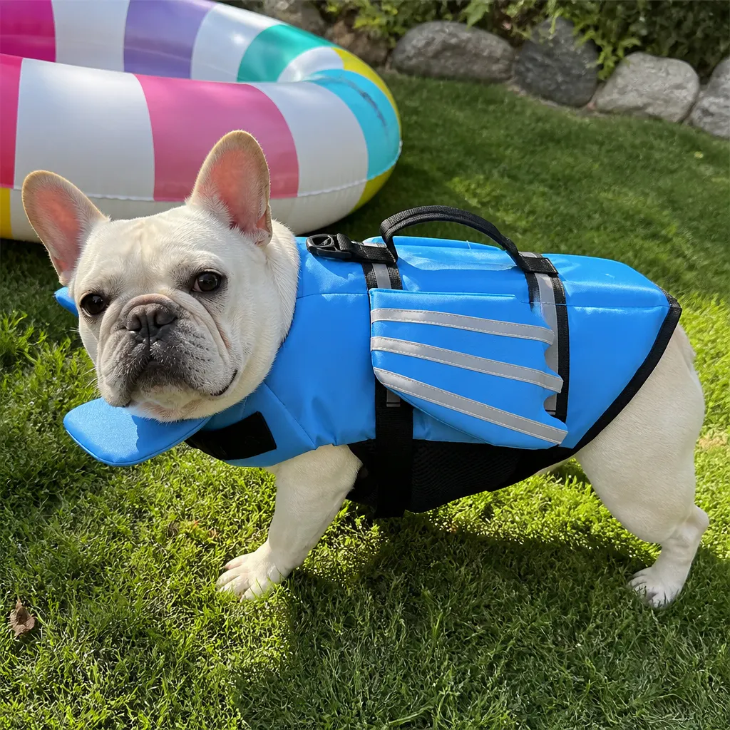 Bruno