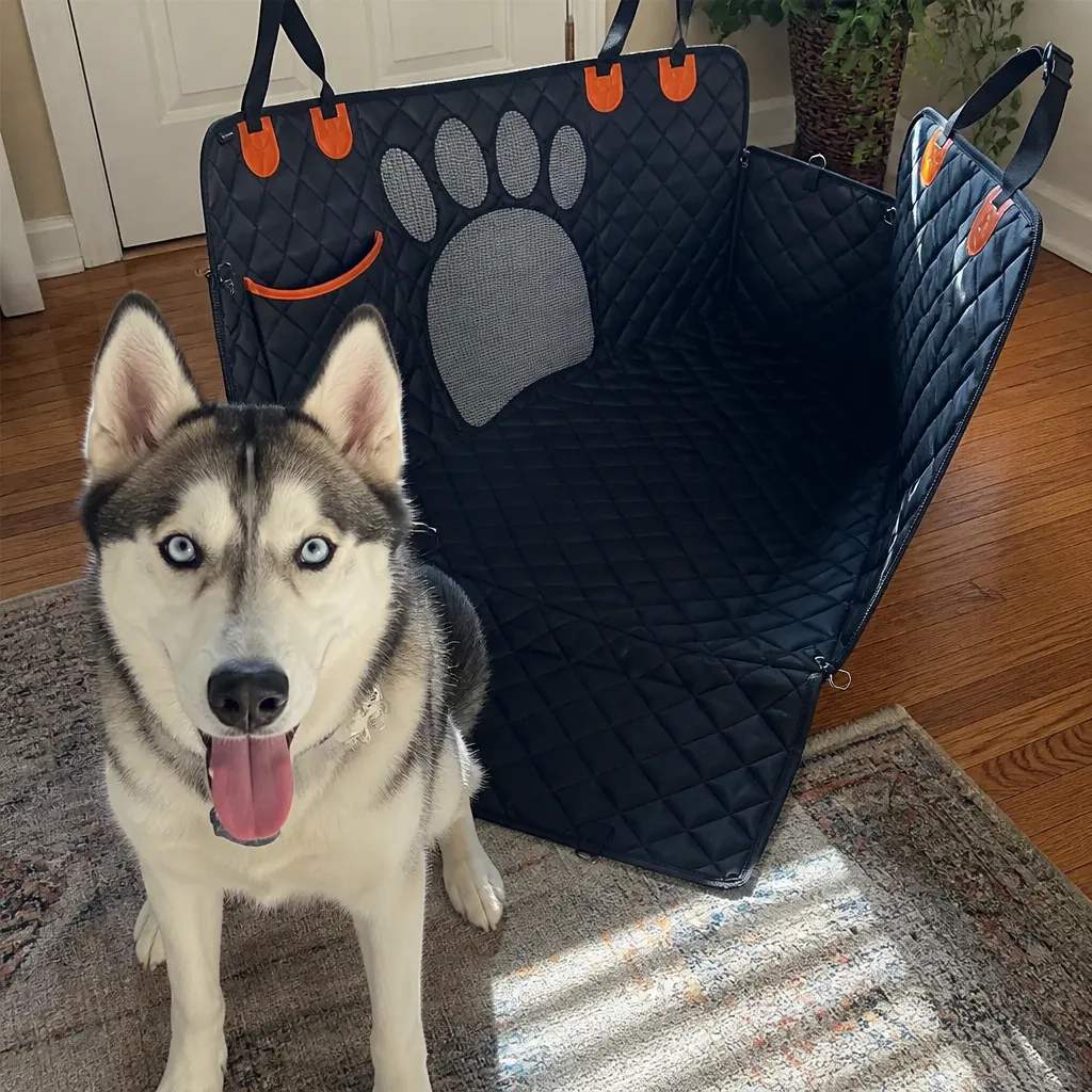 Nova