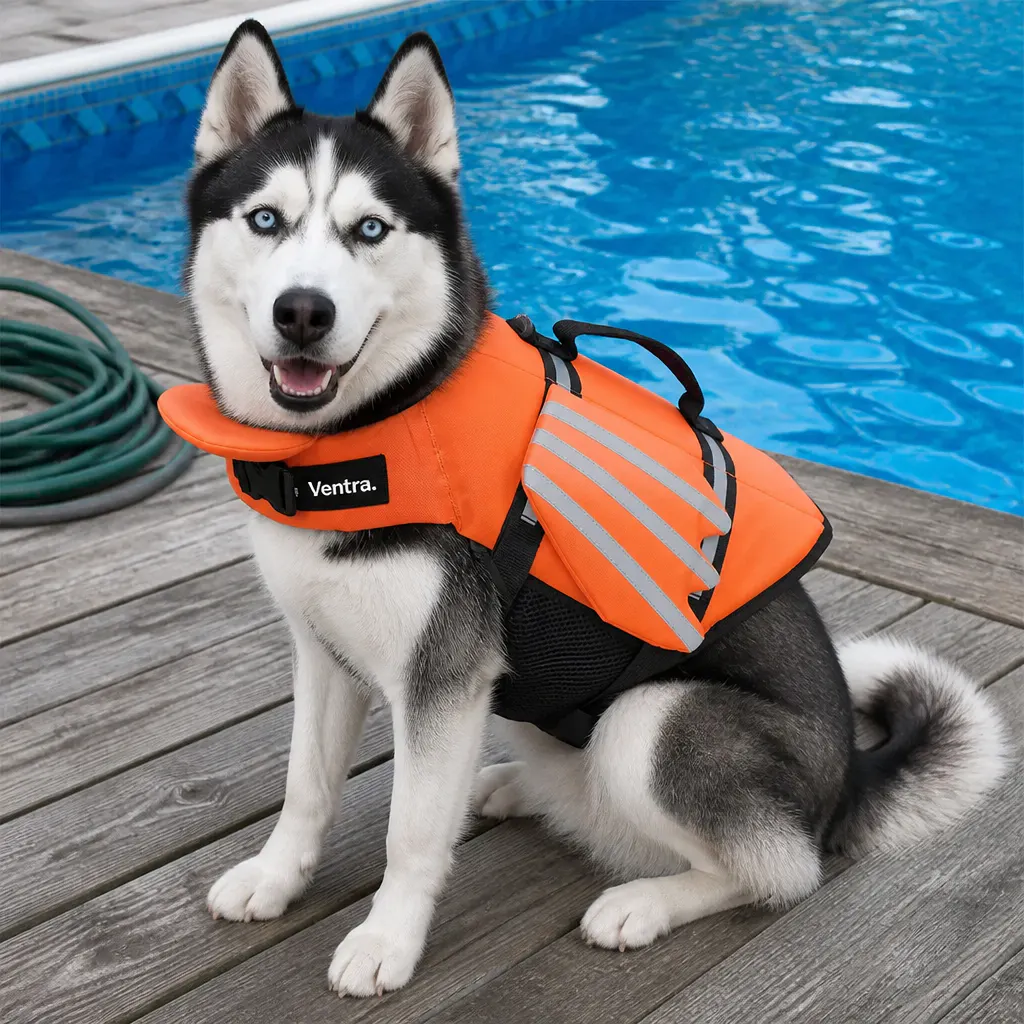 The Ventra life jacket fitting snugly on a stout barrel-chested dog