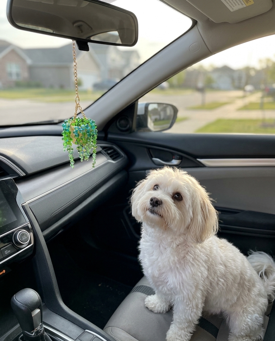 Grace H.'s car